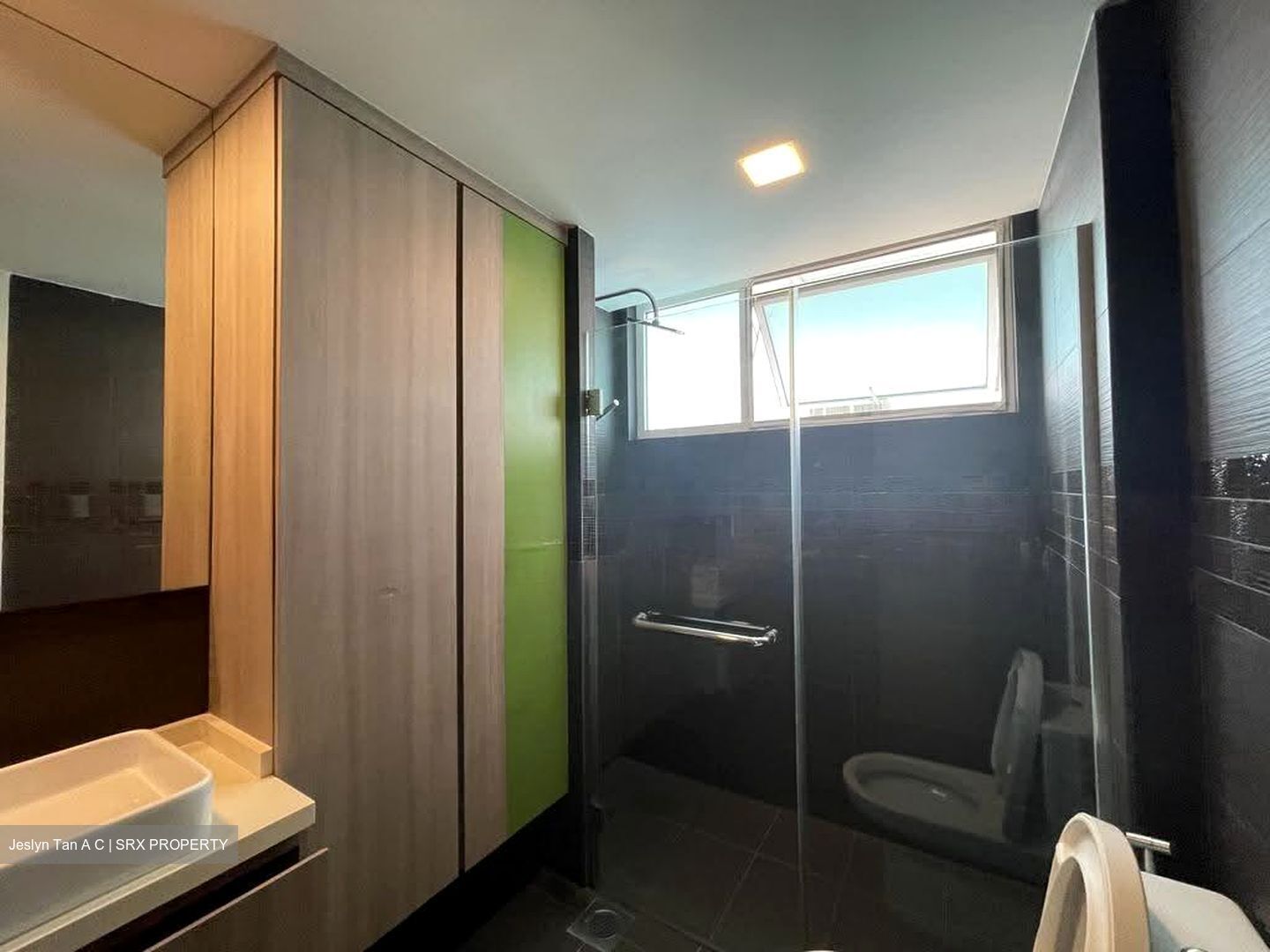 Dahlia Park Condominium (D17), Condominium #632832151